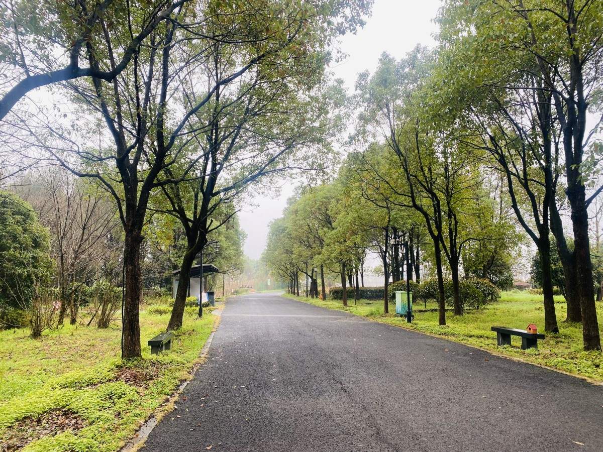 台州市文化旅游投资发展有限公司(图8)