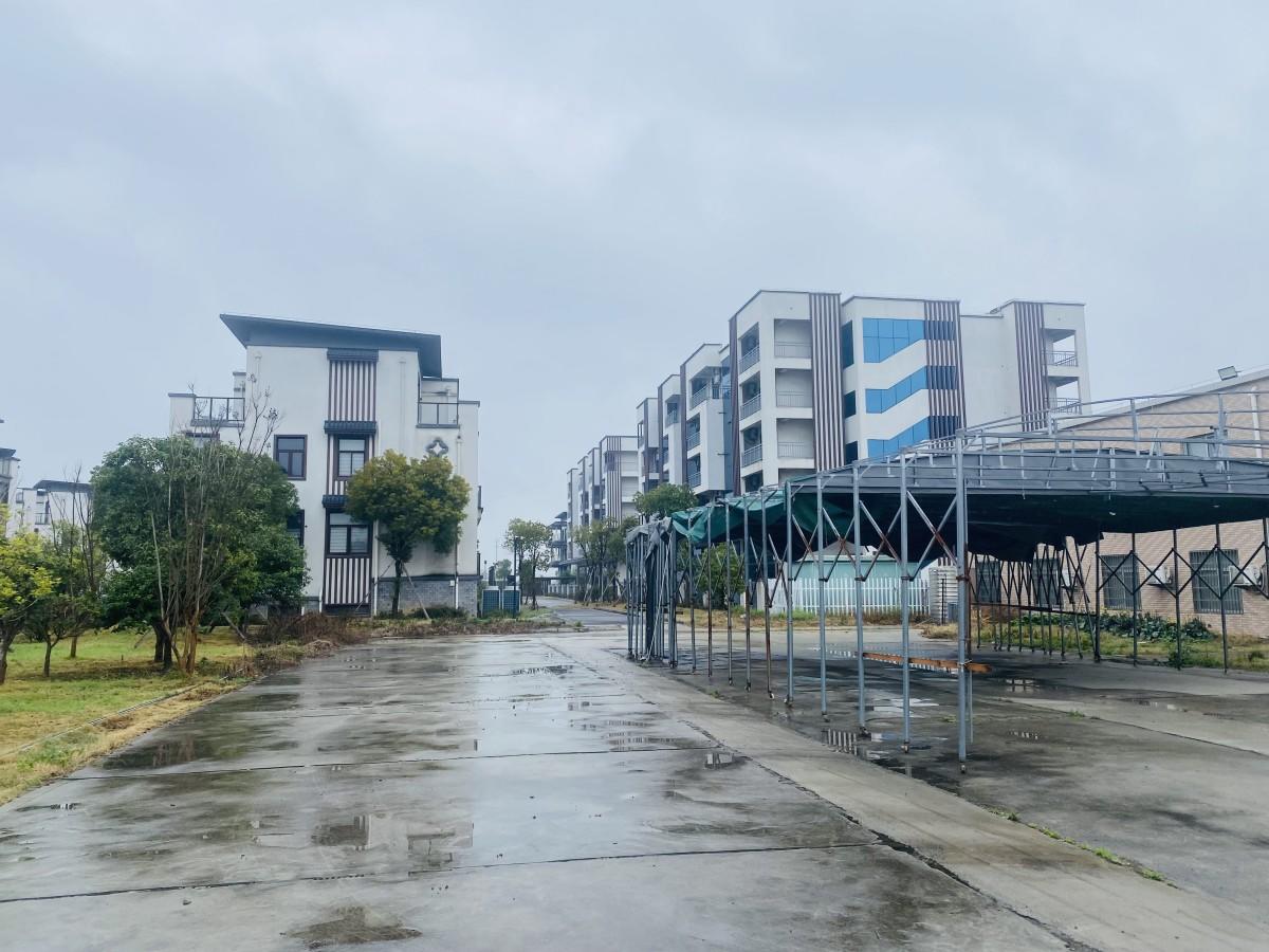 台州市文化旅游投资发展有限公司(图11)