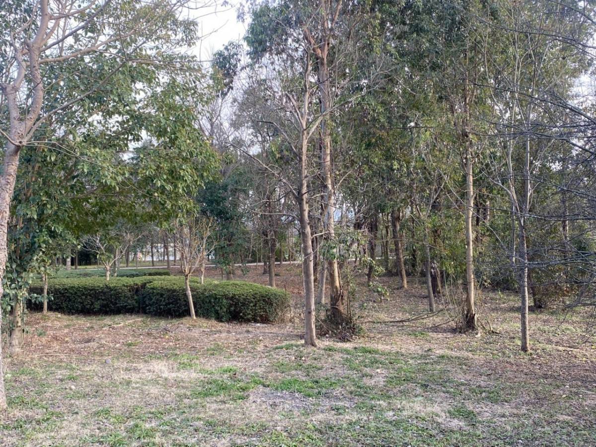 台州市文化旅游投资发展有限公司(图20)