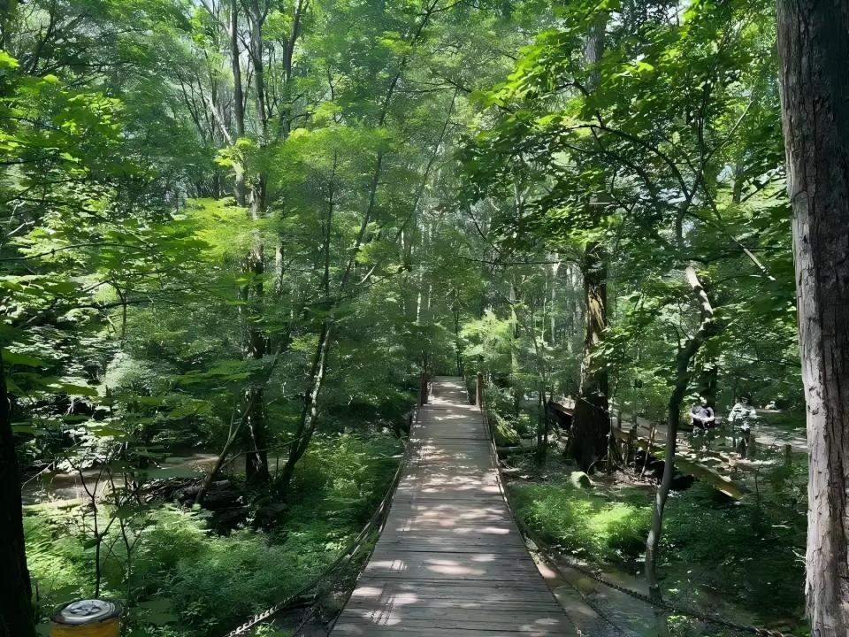 通化三角龙湾风景区 | 火山湖群影视拍摄自然生态基地(图3)