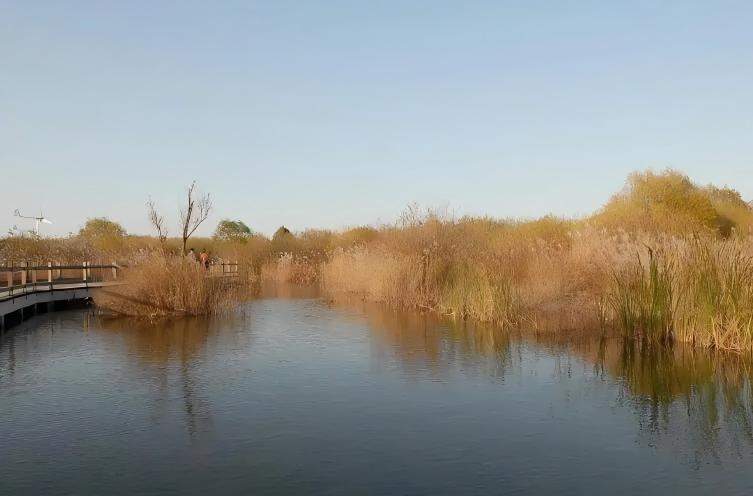 通化三角龙湾风景区 | 火山湖群影视拍摄自然生态基地(图11)