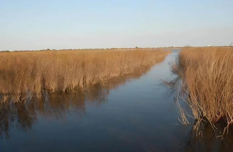 通化三角龙湾风景区 | 火山湖群影视拍摄自然生态基地(图14)