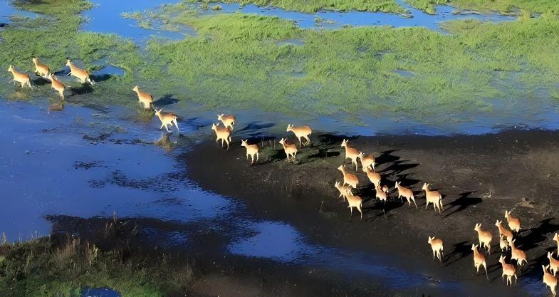 通化三角龙湾风景区 | 火山湖群影视拍摄自然生态基地(图13)