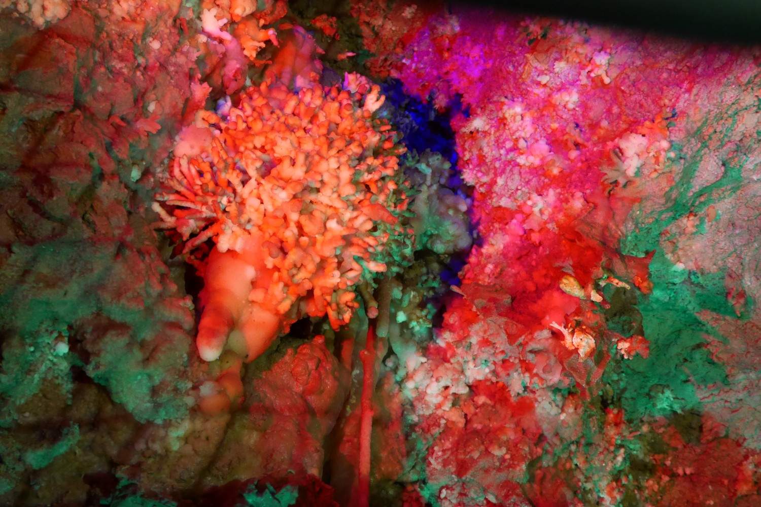 吉林通化溶洞景区 - 东北石冰花地质遗迹 影视拍摄一站式取景地(图23)