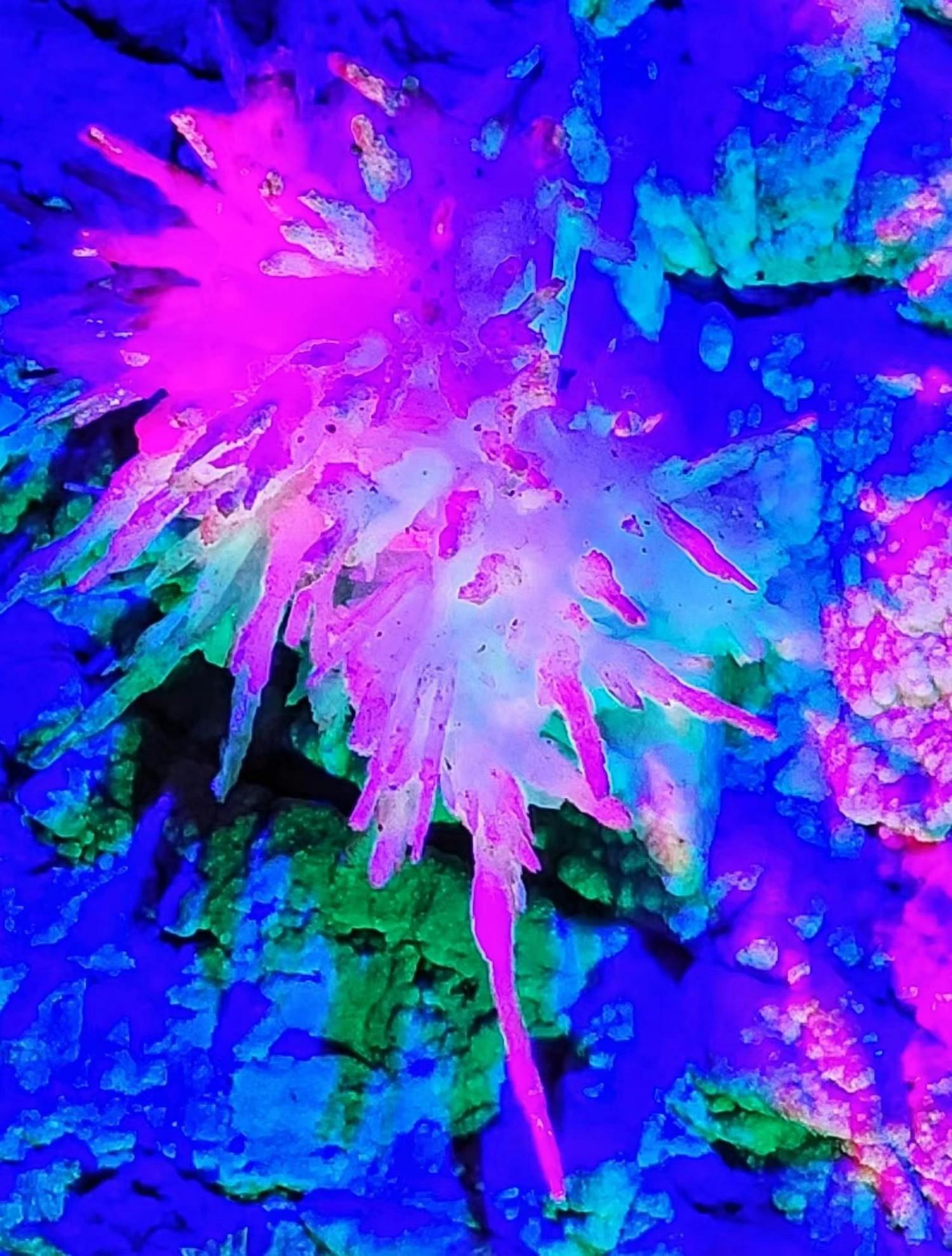 吉林通化溶洞景区 - 东北石冰花地质遗迹 影视拍摄一站式取景地(图28)