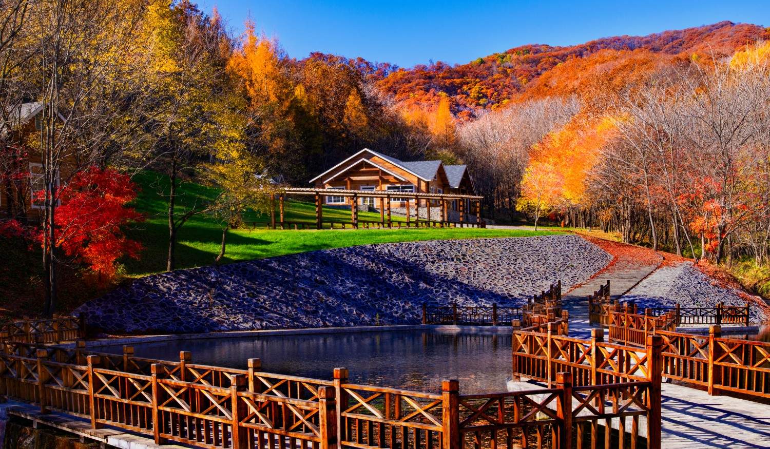 通化市柳河县云岭野山参保护区风景区(图1)