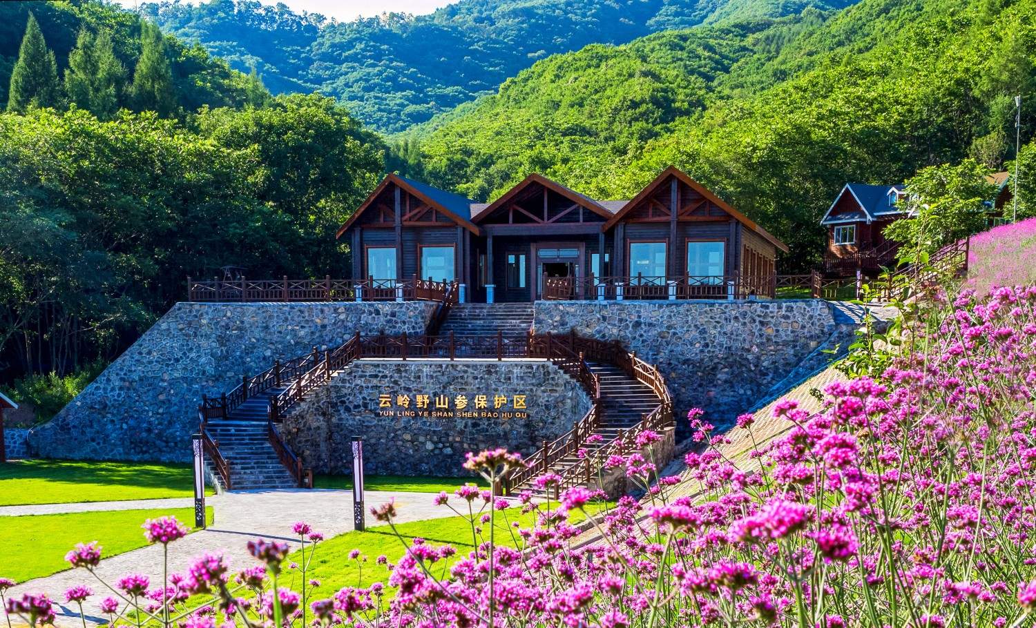 通化市柳河县云岭野山参保护区风景区(图5)