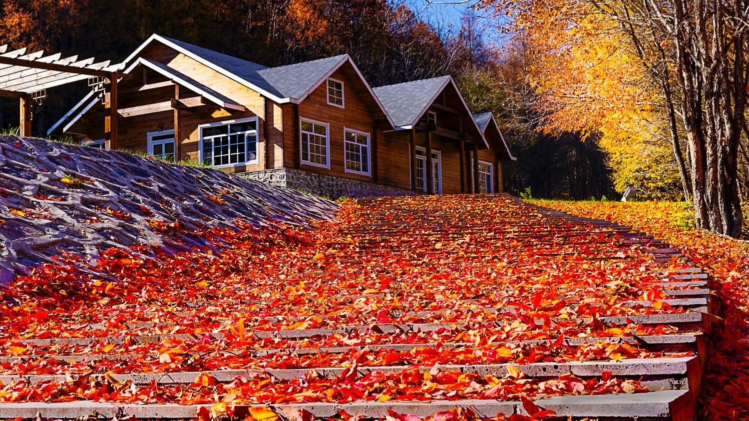 通化市柳河县云岭野山参保护区风景区(图2)