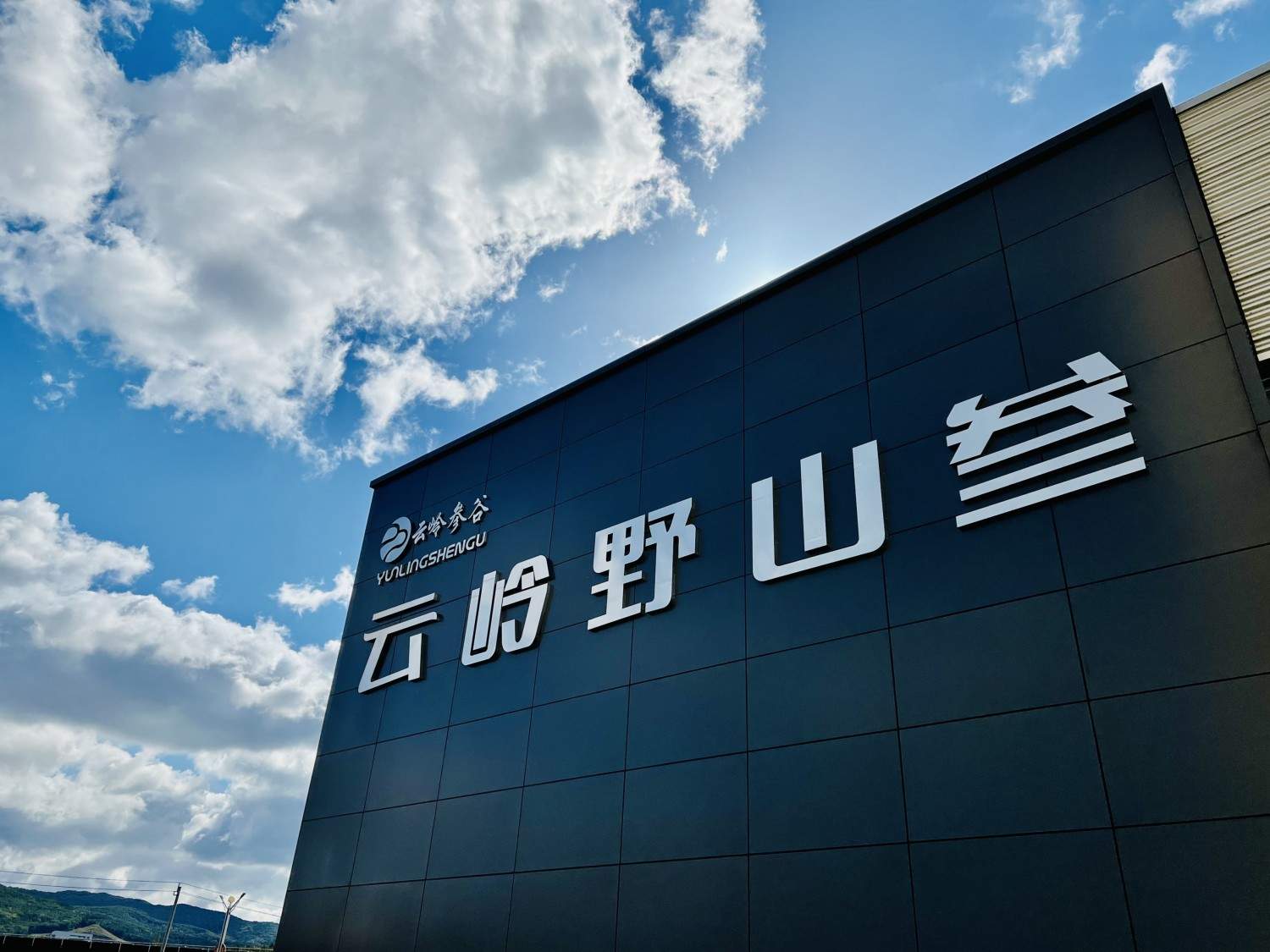 通化市柳河县云岭野山参保护区风景区(图3)