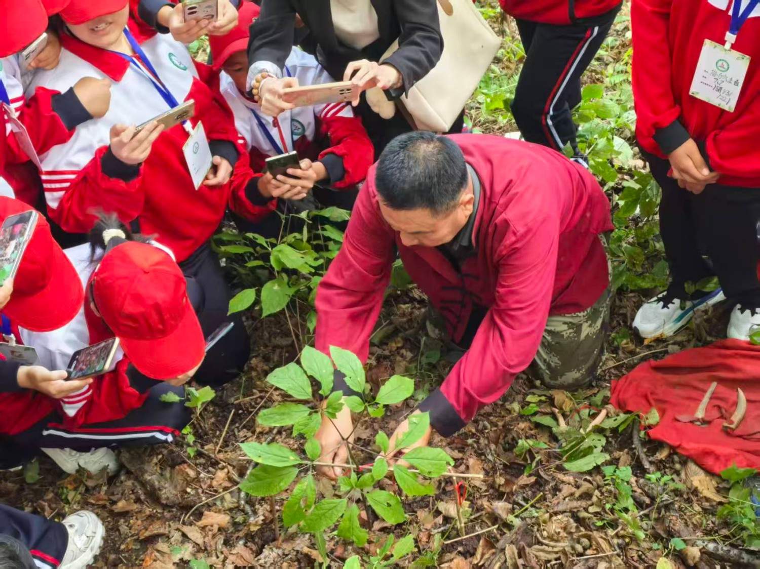 通化市柳河县云岭野山参保护区风景区(图11)