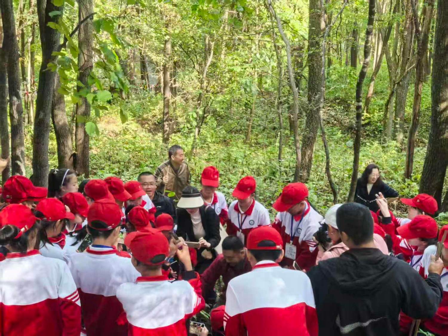 通化市柳河县云岭野山参保护区风景区(图14)