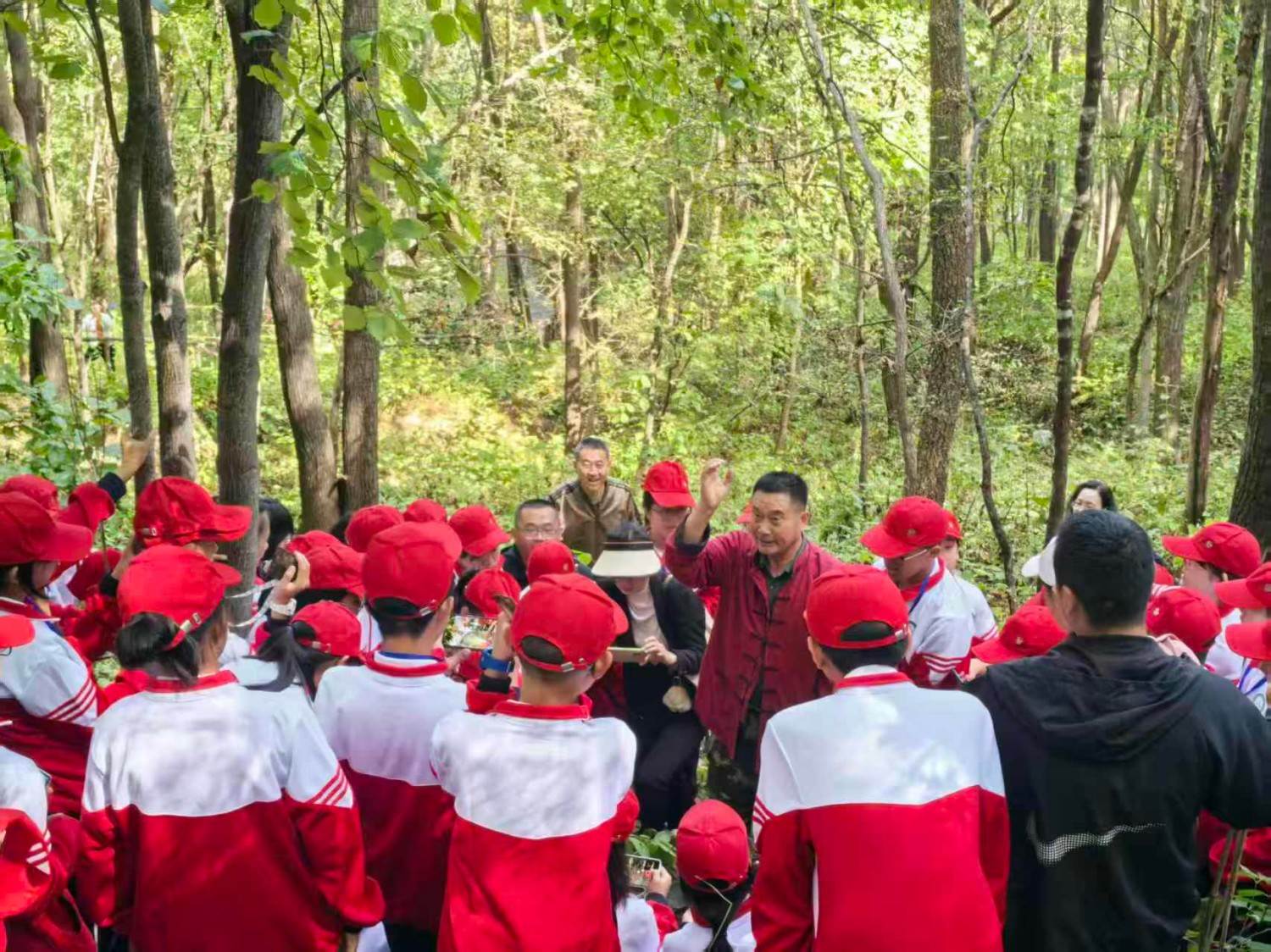 通化市柳河县云岭野山参保护区风景区(图13)