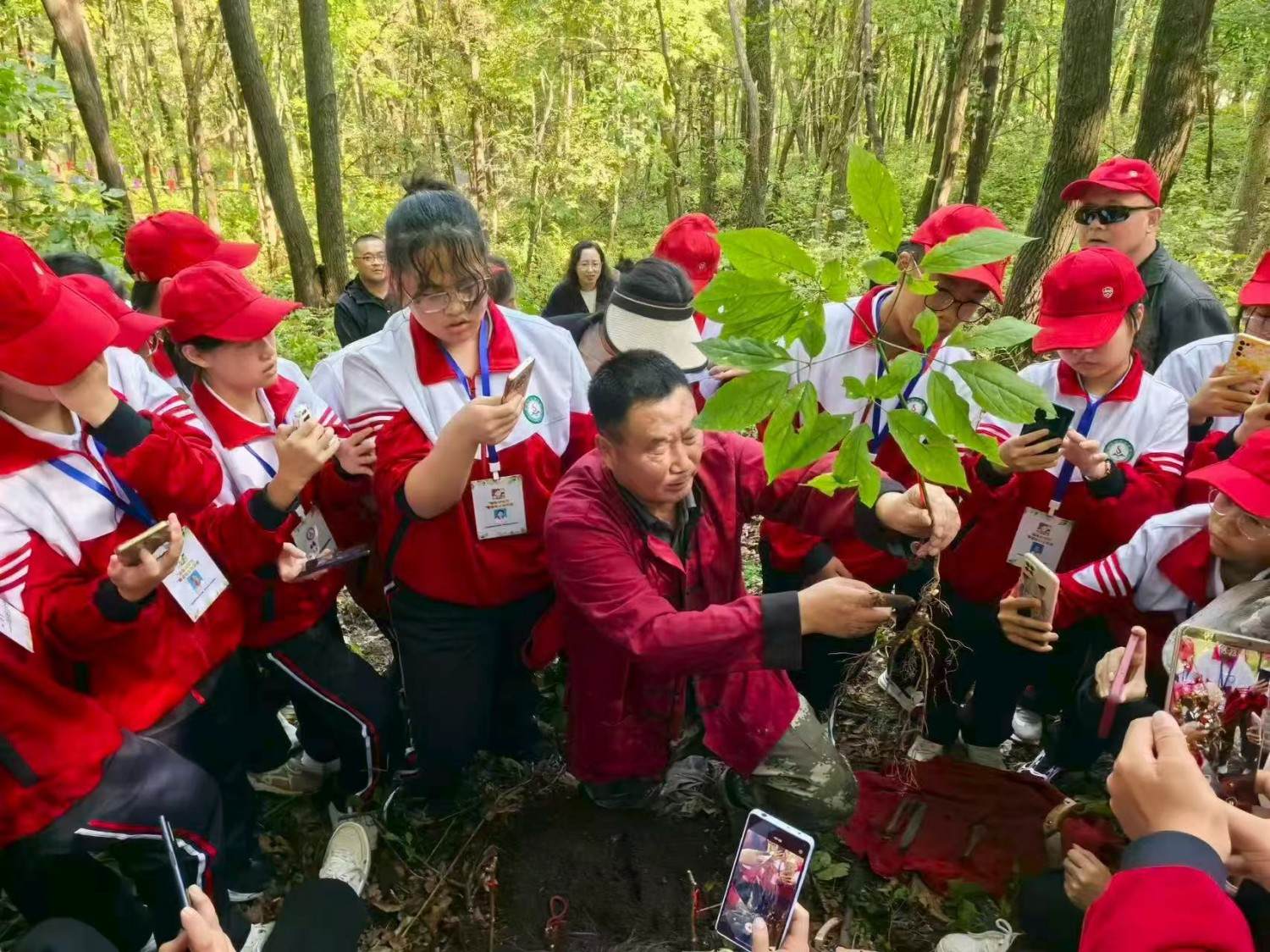 通化市柳河县云岭野山参保护区风景区(图15)