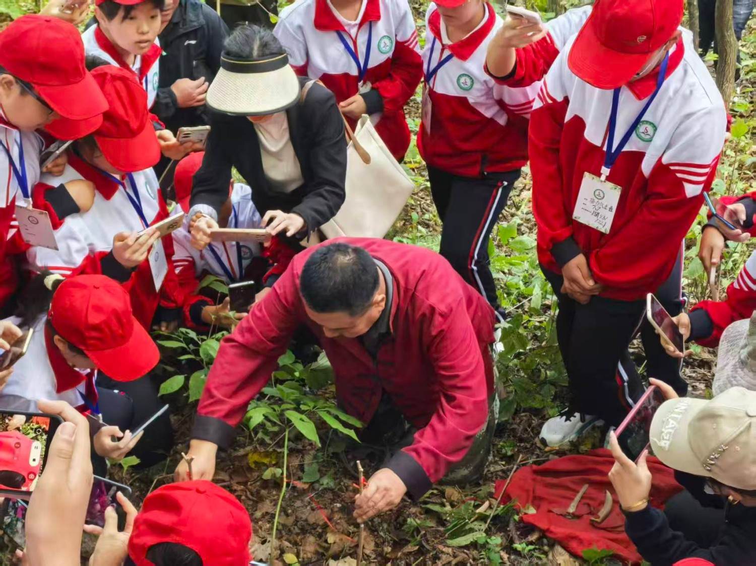 通化市柳河县云岭野山参保护区风景区(图16)