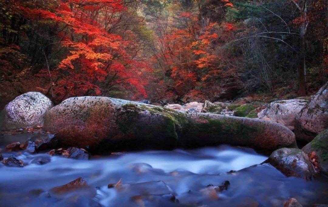 通化集安五女峰国家森林公园：长白山脉影视创作天然宝库(图5)