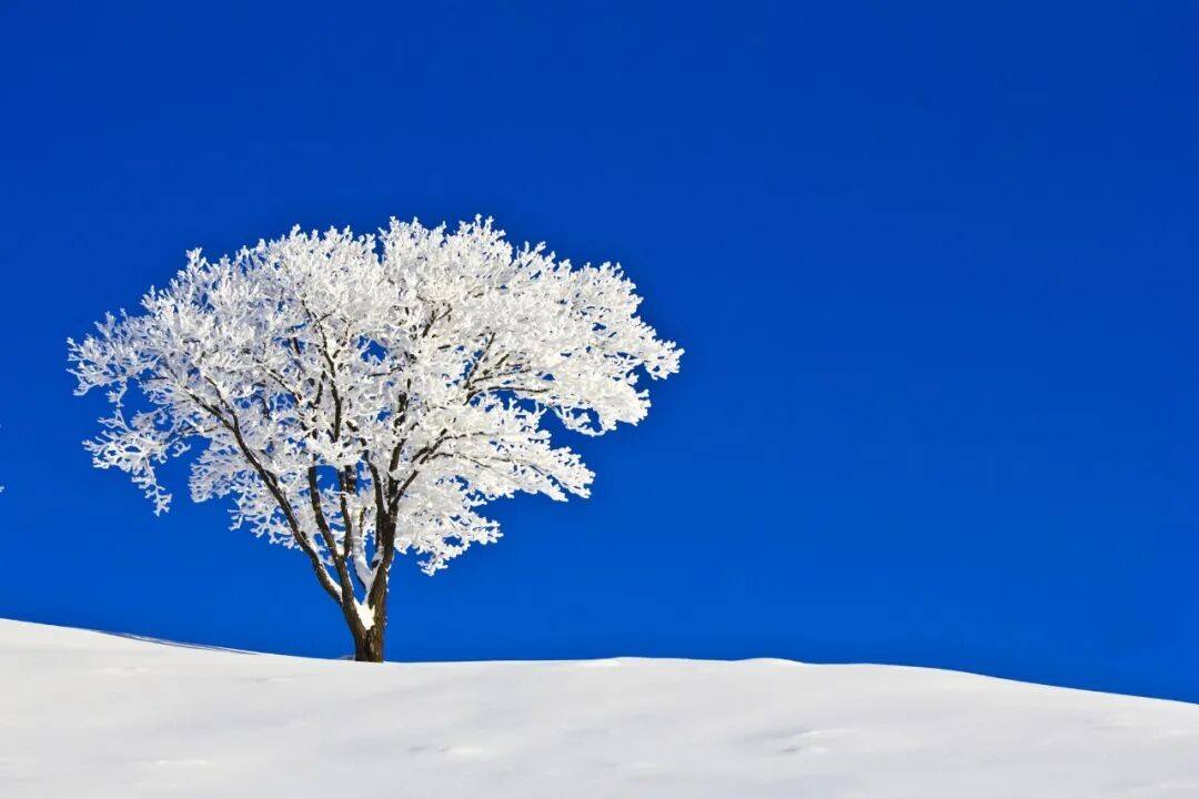 吉林通化四方山森林公园(图2)