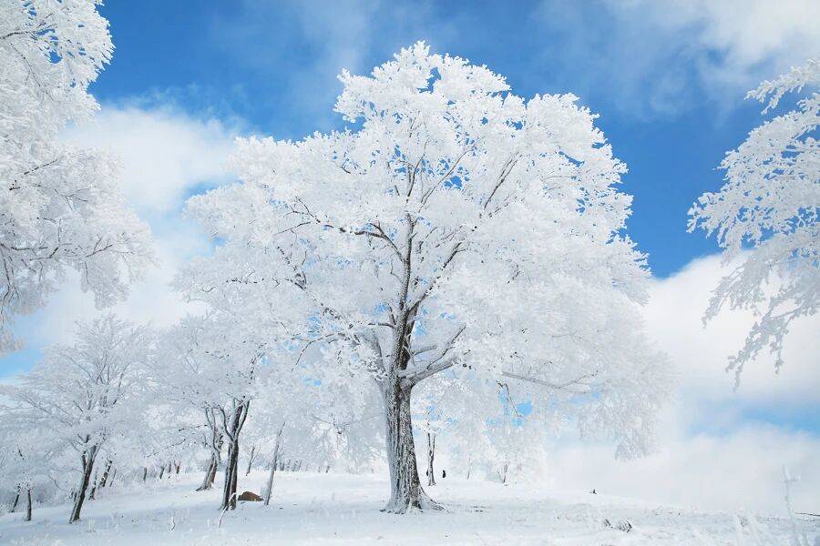 吉林通化四方山森林公园(图4)