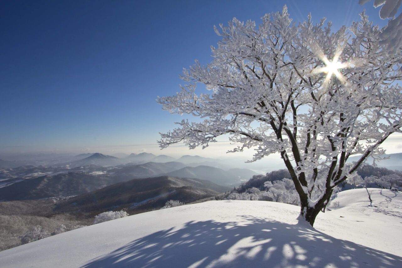 吉林通化四方山森林公园(图6)