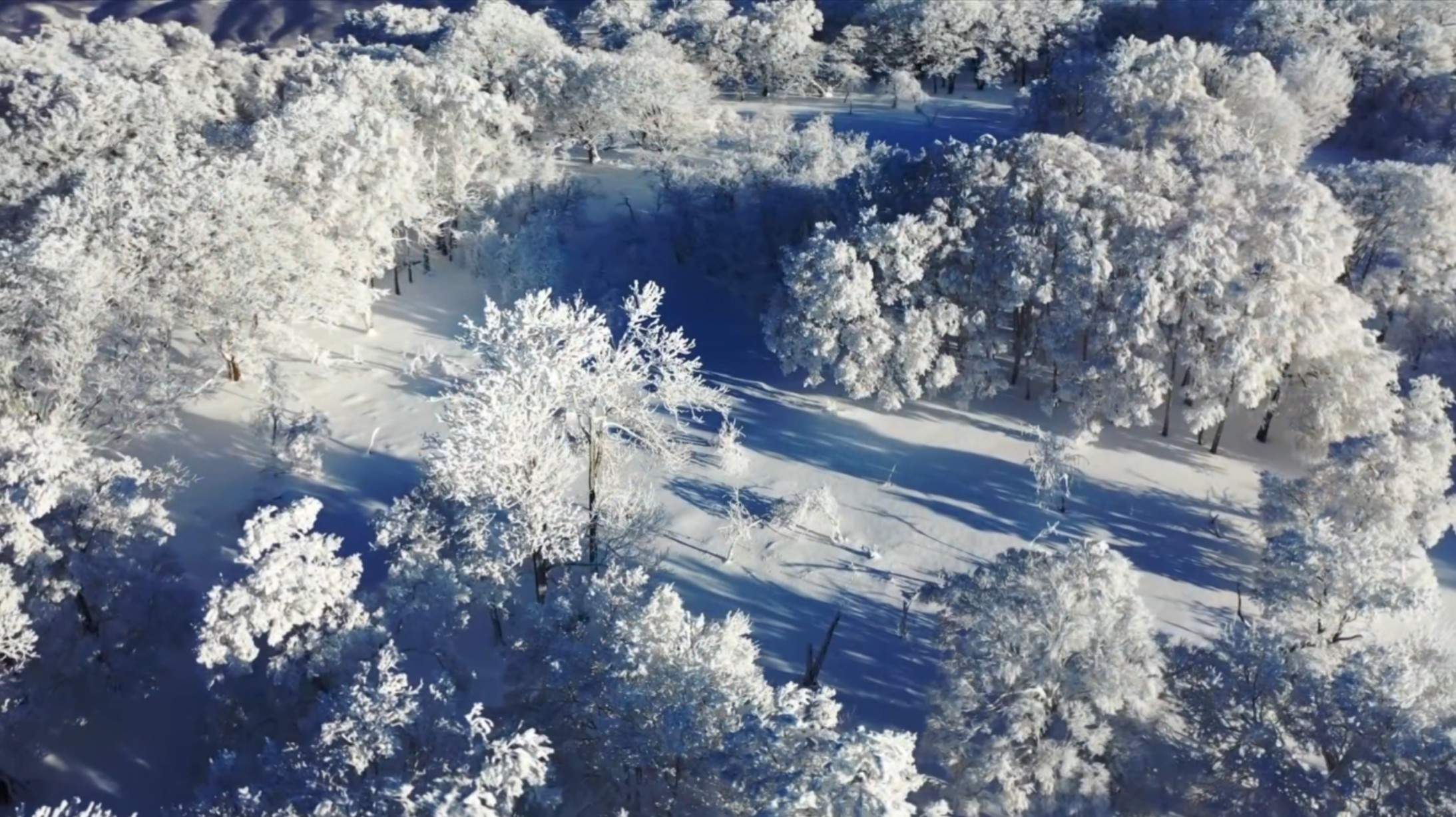 吉林通化四方山森林公园(图8)