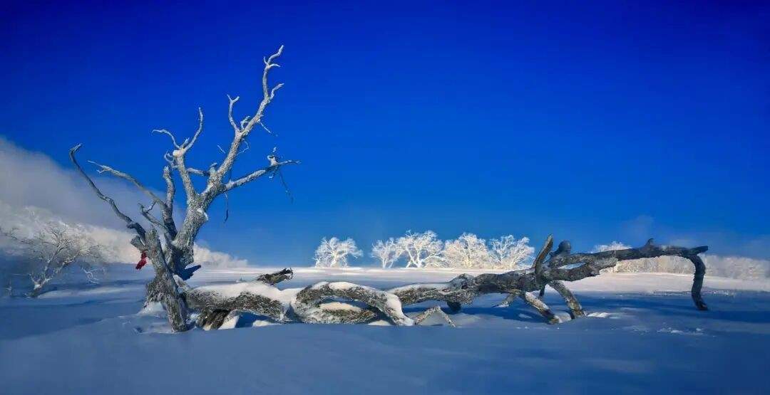 吉林通化四方山森林公园(图10)