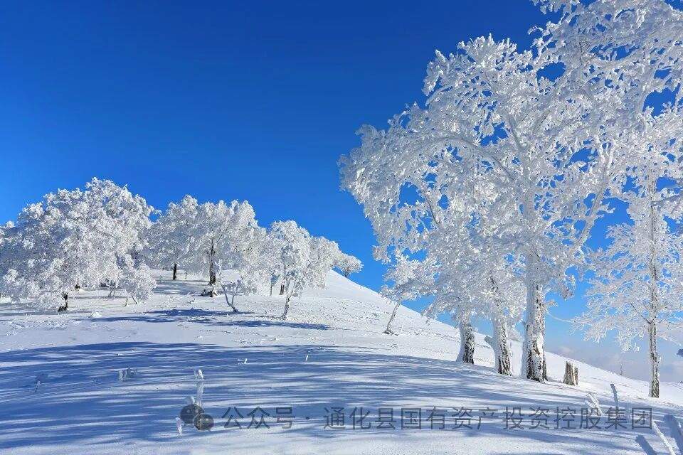 吉林通化四方山森林公园(图18)