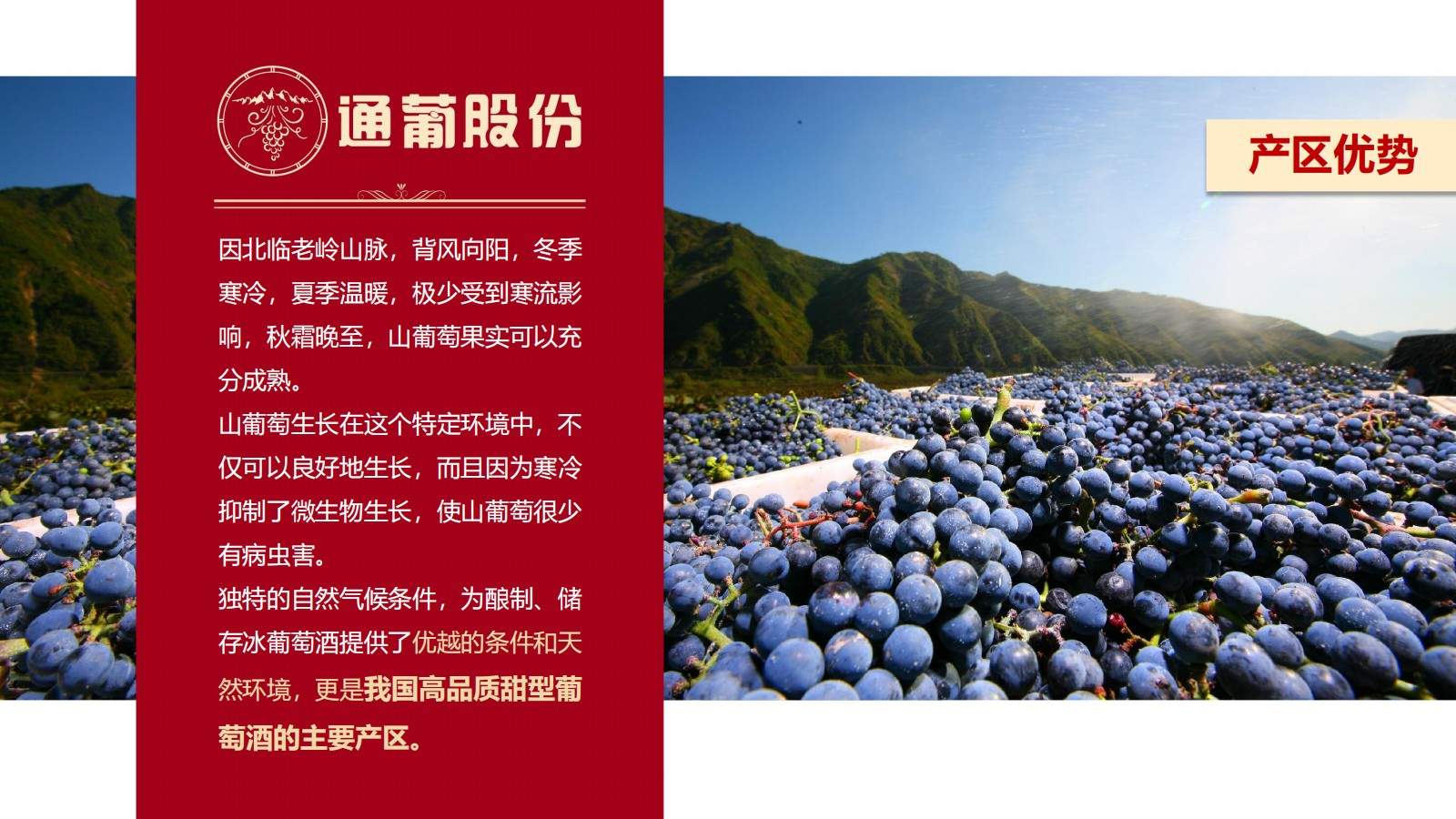 探秘通化葡萄酒地下酒窖 解锁复古工业风影视场景(图21)