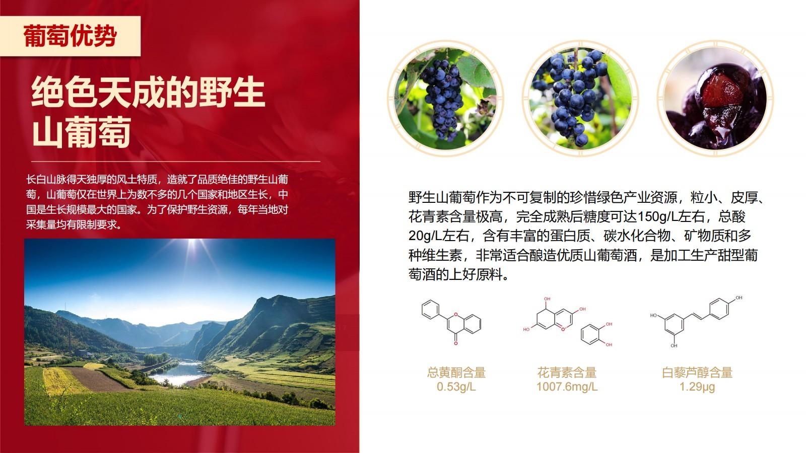 探秘通化葡萄酒地下酒窖 解锁复古工业风影视场景(图22)