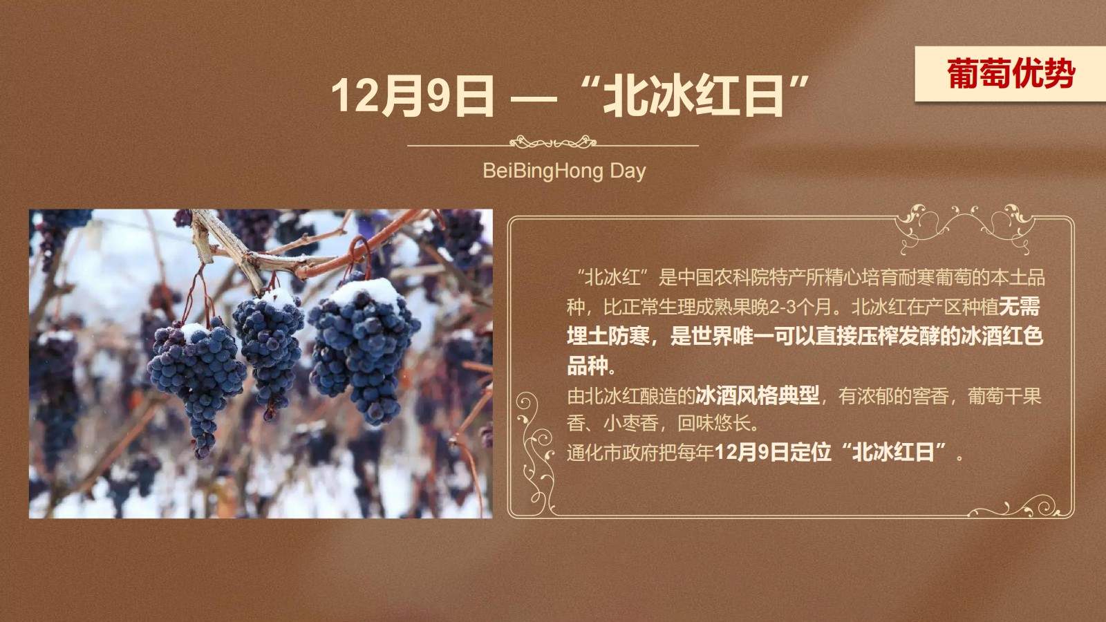 探秘通化葡萄酒地下酒窖 解锁复古工业风影视场景(图24)