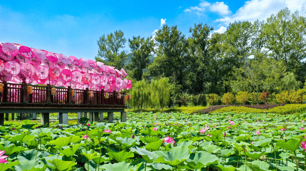 佟佳江旅游度假区：四季皆宜的影视拍摄胜地(图22)