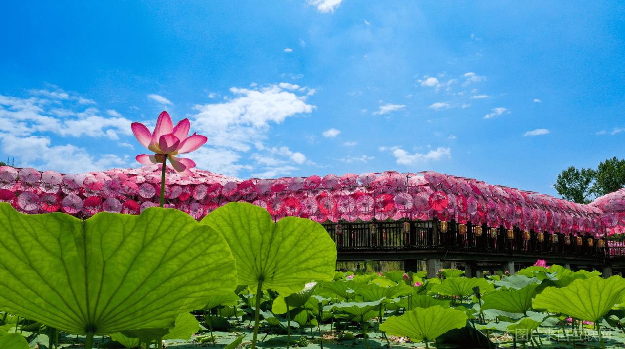 佟佳江旅游度假区：四季皆宜的影视拍摄胜地(图27)