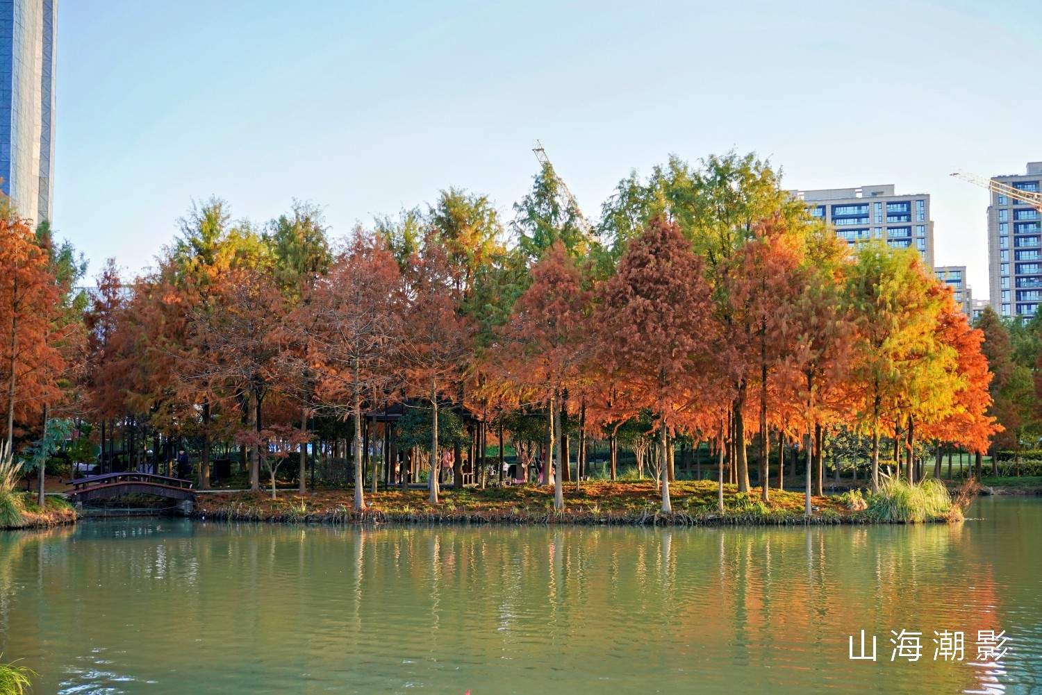 台州和合公园——湖光林影 + CBD 背景，一站式适配多元拍摄场景(图4)