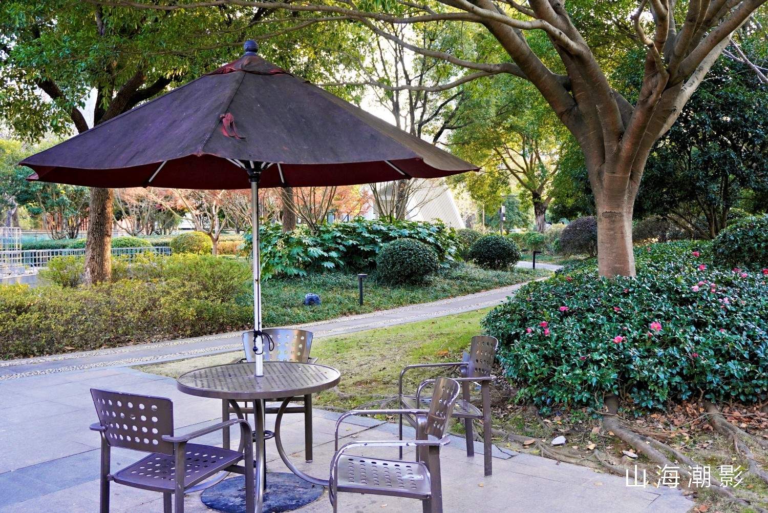 台州和合公园——湖光林影 + CBD 背景，一站式适配多元拍摄场景(图10)