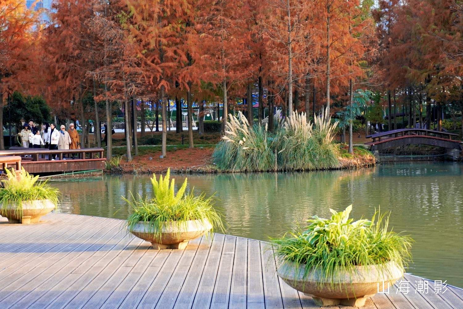 台州和合公园——湖光林影 + CBD 背景，一站式适配多元拍摄场景(图5)