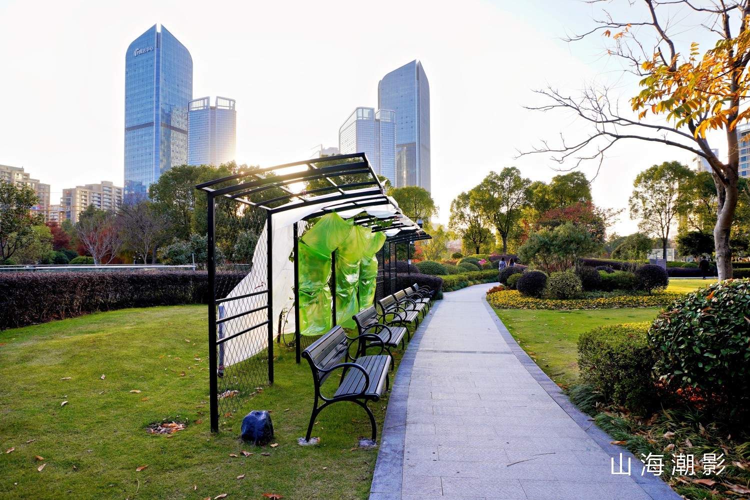 台州和合公园——湖光林影 + CBD 背景，一站式适配多元拍摄场景(图13)