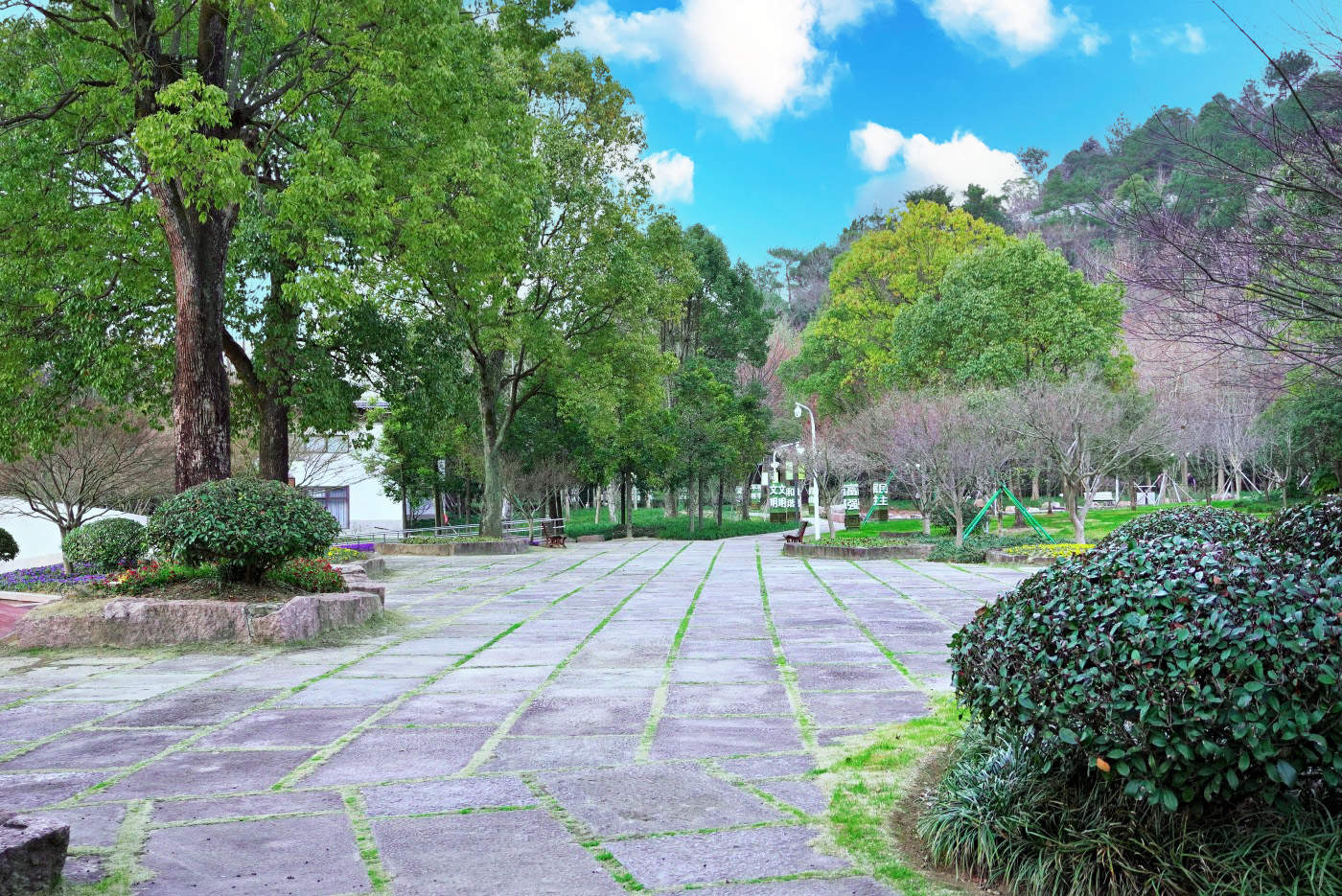 探秘路桥三月旷野休闲营地：从浪漫约会到团队聚会的全能取景地(图49)