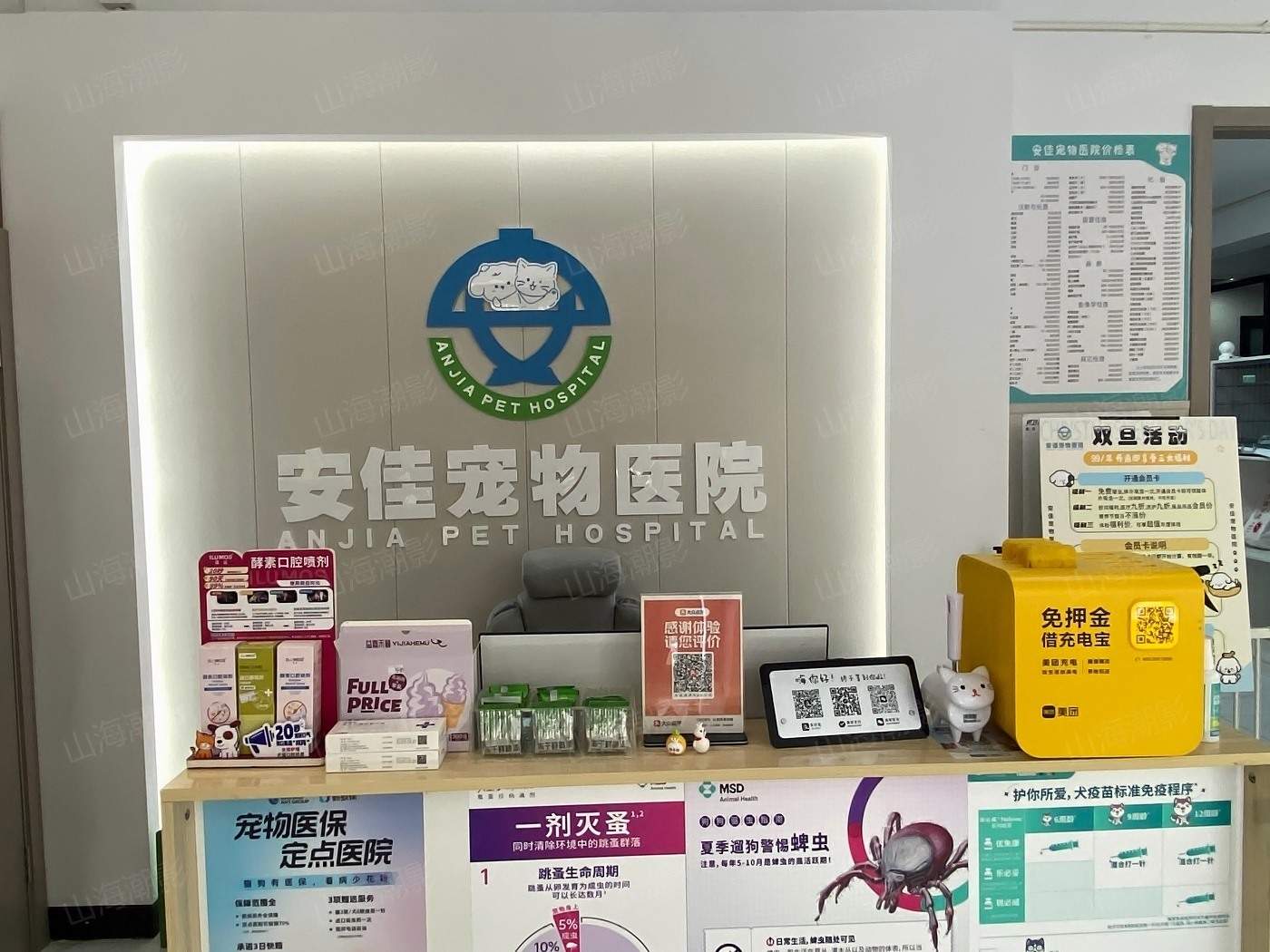 椒江安佳宠物医院——现代萌宠医疗与生活融合的影视拍摄地标(图1)