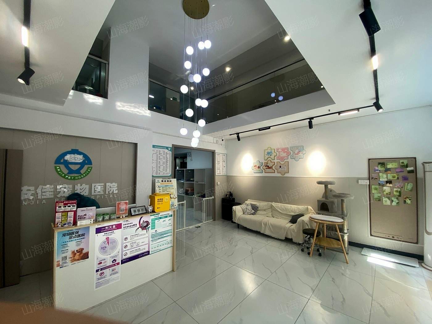 椒江安佳宠物医院——现代萌宠医疗与生活融合的影视拍摄地标(图4)