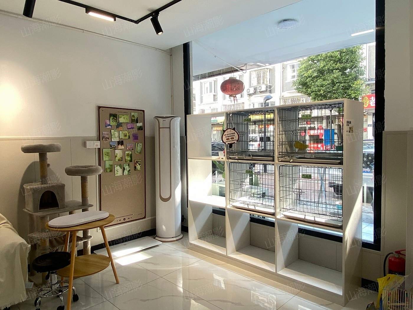 椒江安佳宠物医院——现代萌宠医疗与生活融合的影视拍摄地标(图5)