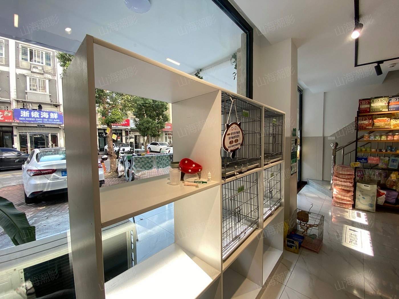 椒江安佳宠物医院——现代萌宠医疗与生活融合的影视拍摄地标(图9)