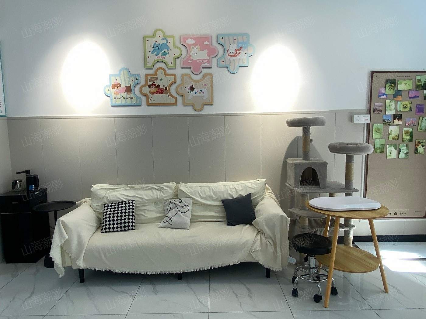 椒江安佳宠物医院——现代萌宠医疗与生活融合的影视拍摄地标(图6)