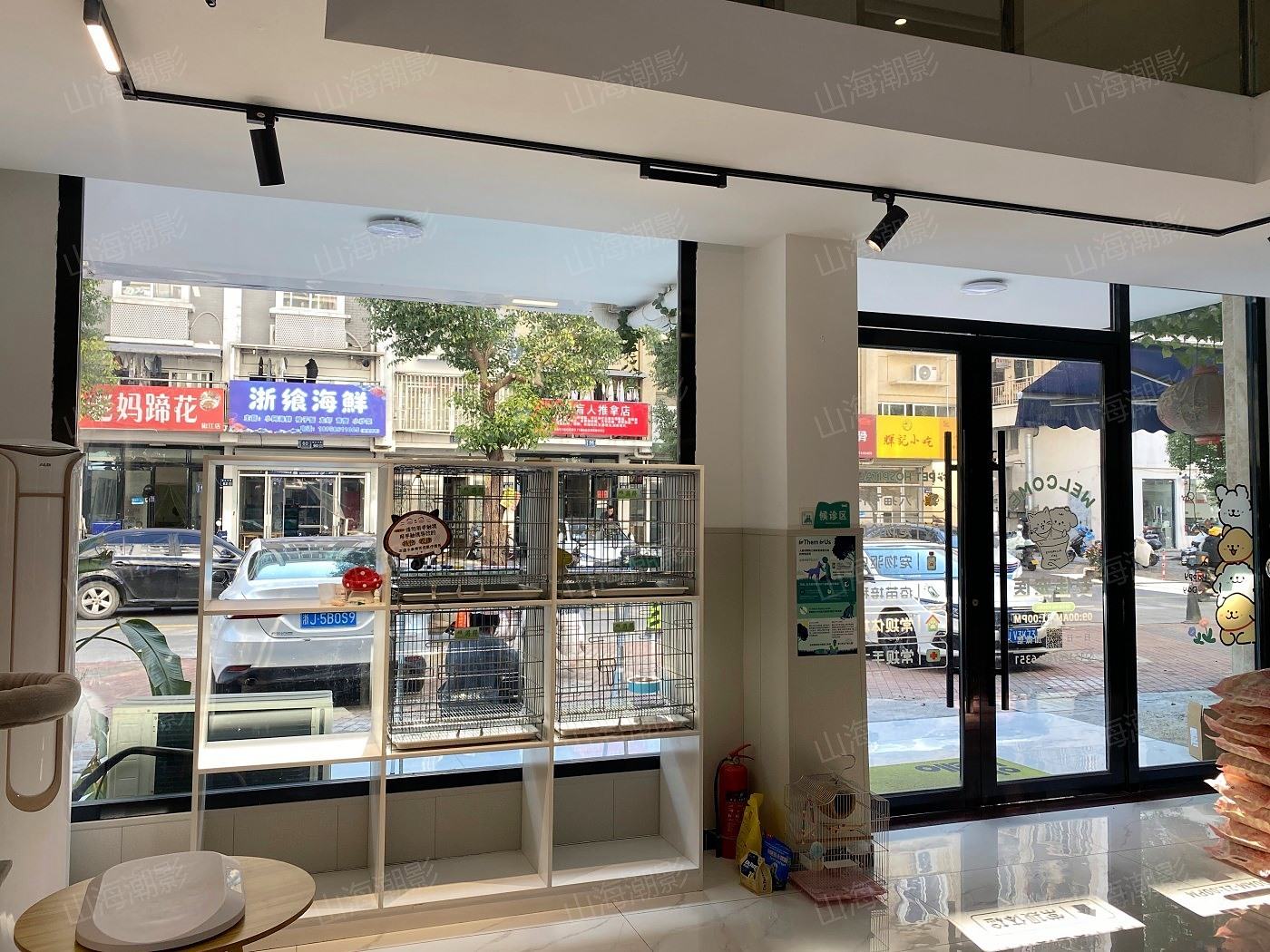 椒江安佳宠物医院——现代萌宠医疗与生活融合的影视拍摄地标(图8)