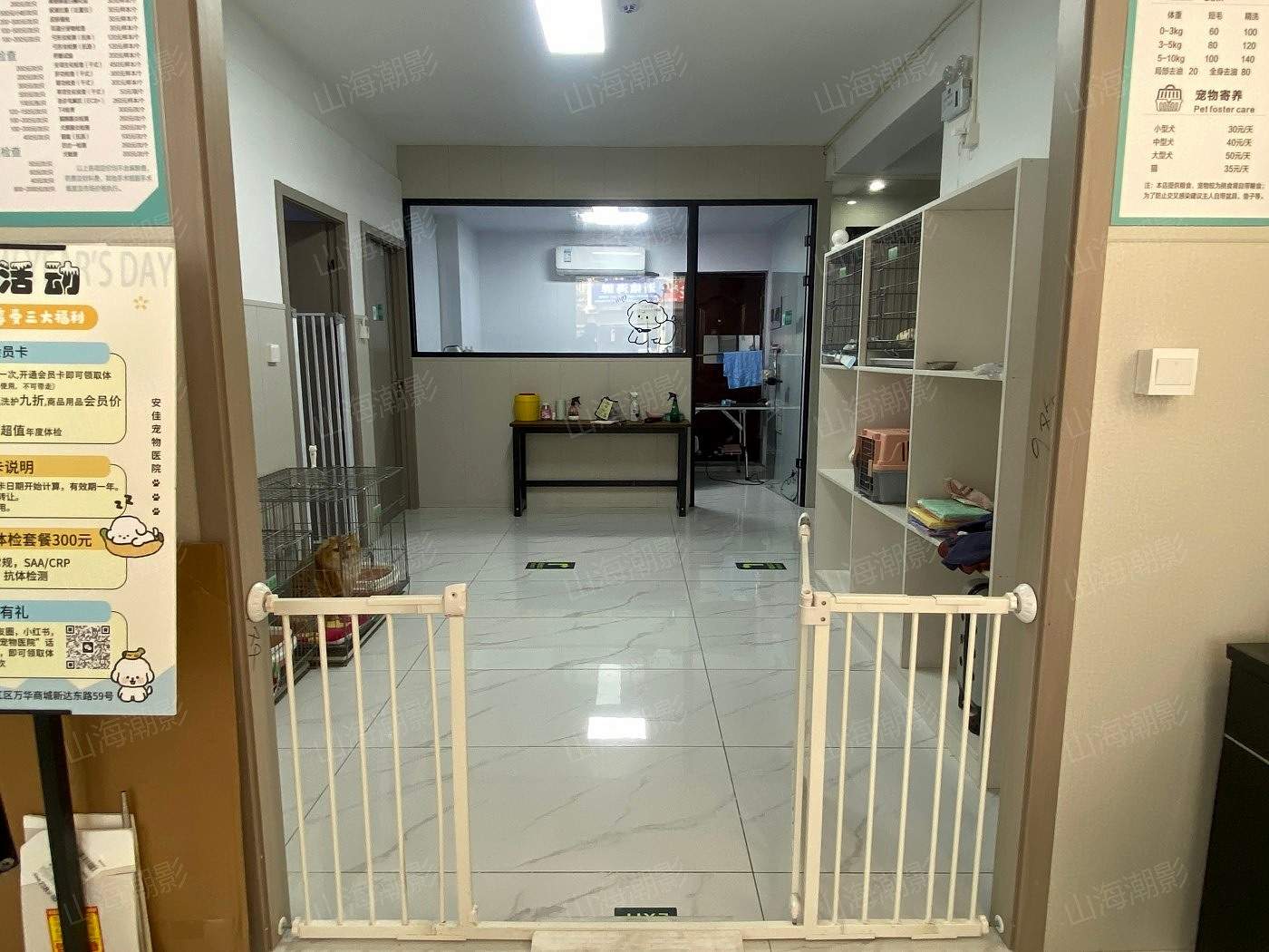 椒江安佳宠物医院——现代萌宠医疗与生活融合的影视拍摄地标(图10)