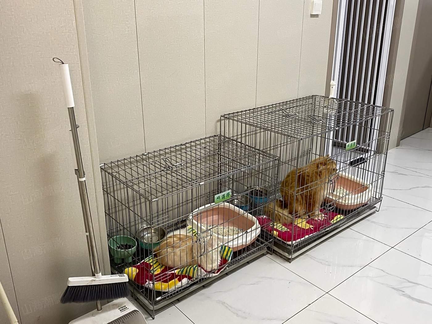 椒江安佳宠物医院——现代萌宠医疗与生活融合的影视拍摄地标(图11)