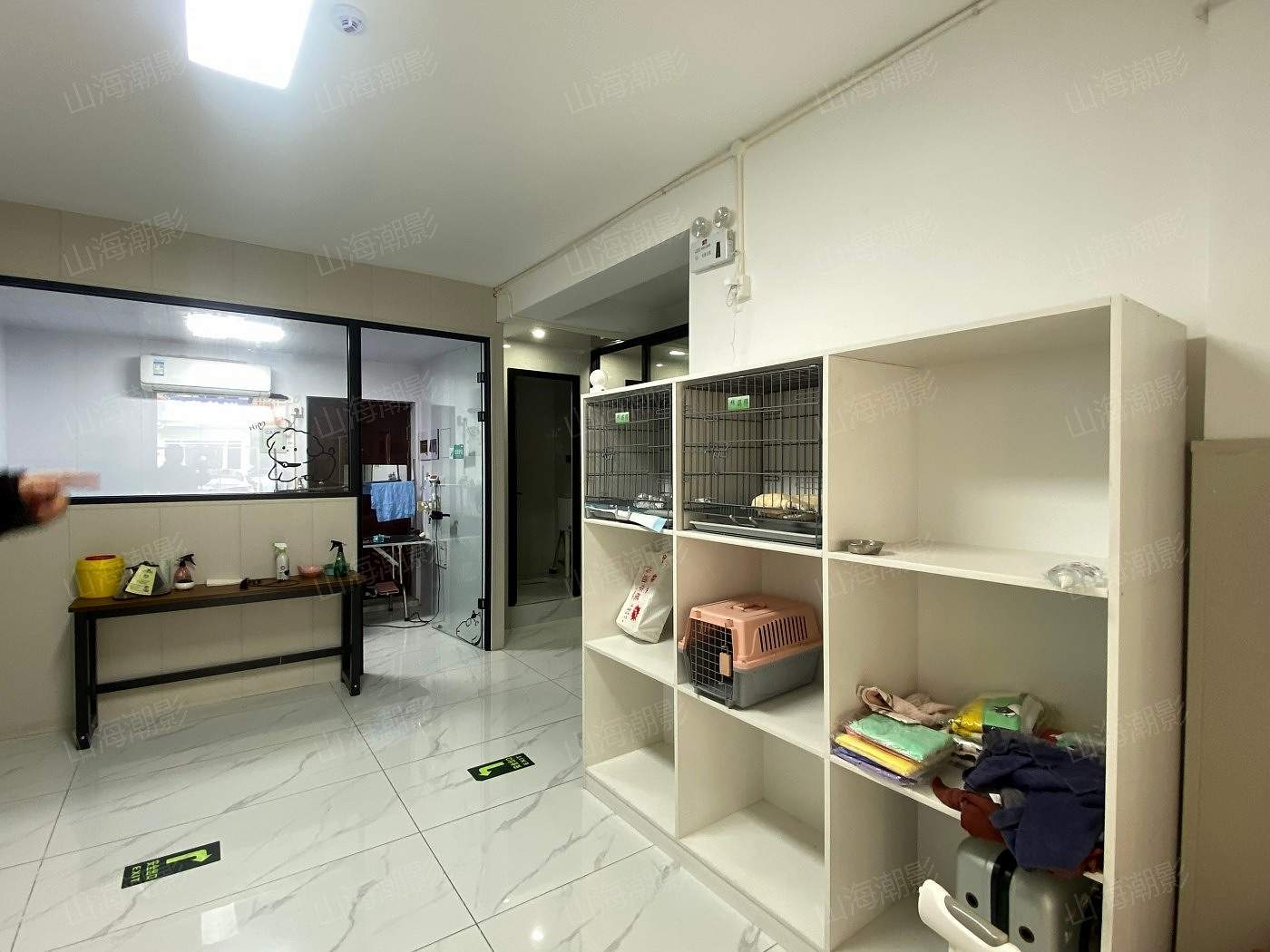 椒江安佳宠物医院——现代萌宠医疗与生活融合的影视拍摄地标(图12)