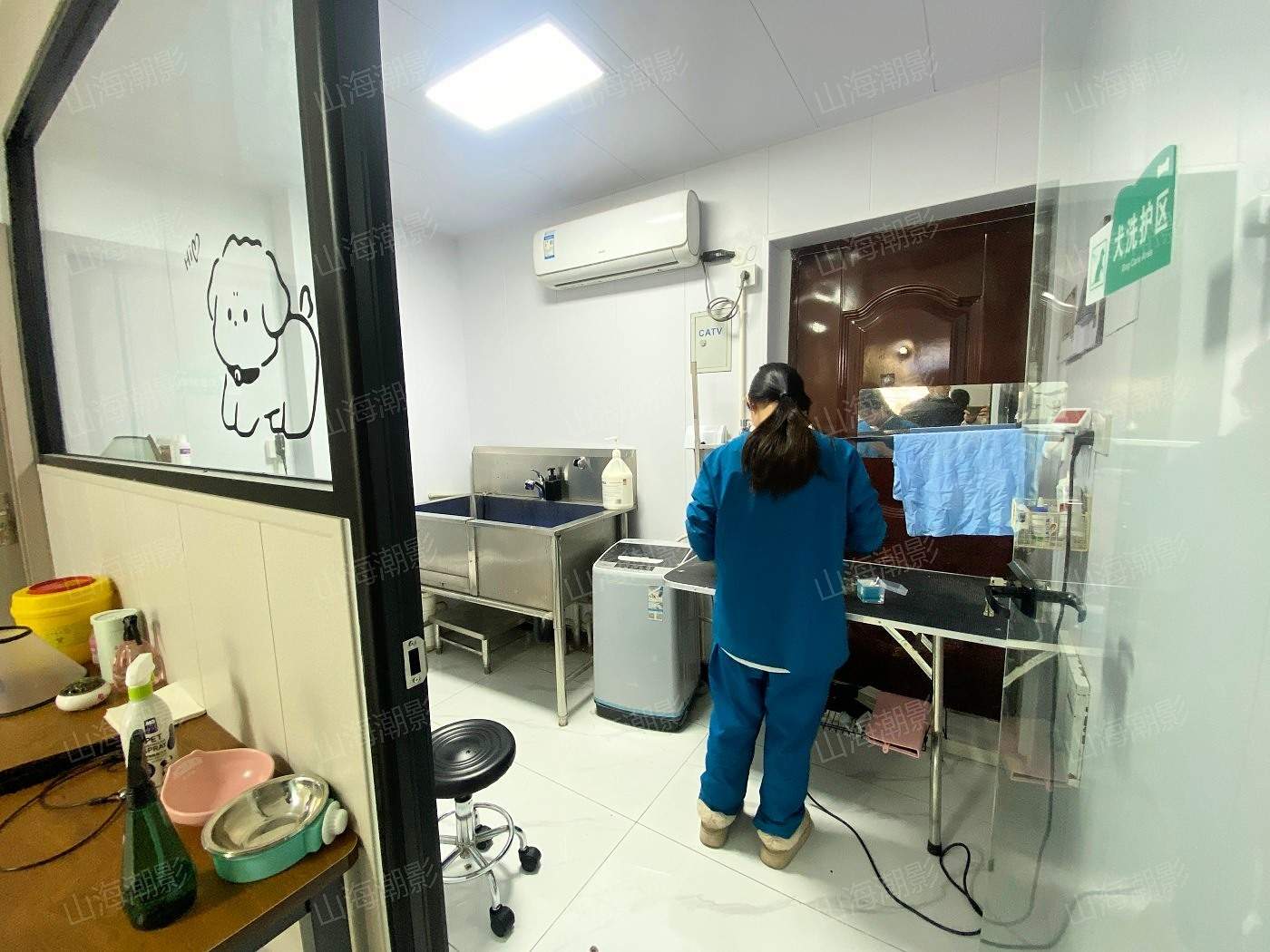 椒江安佳宠物医院——现代萌宠医疗与生活融合的影视拍摄地标(图13)