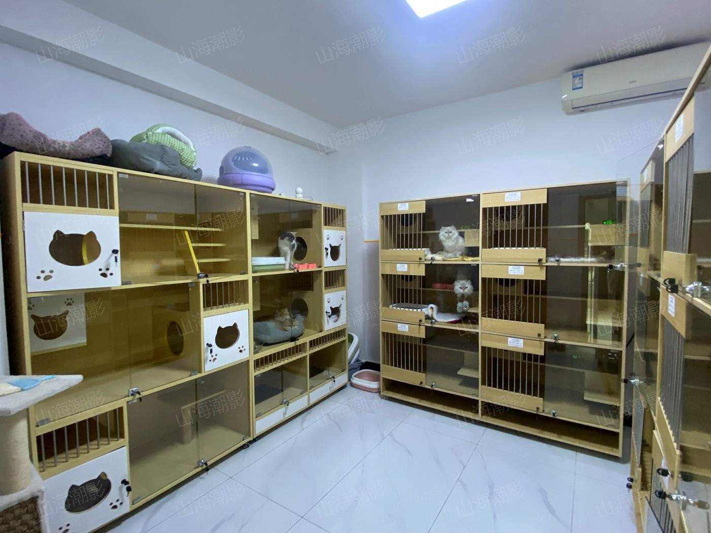 椒江安佳宠物医院——现代萌宠医疗与生活融合的影视拍摄地标(图15)