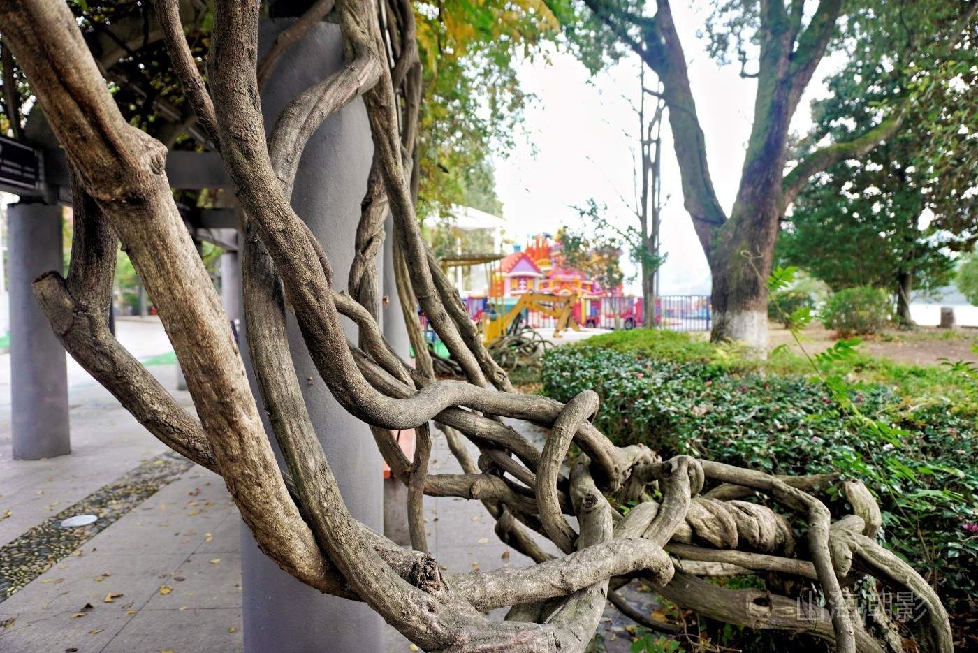 仙居永安公园快乐大本营——童趣梦幻亲子影视拍摄基地(图13)