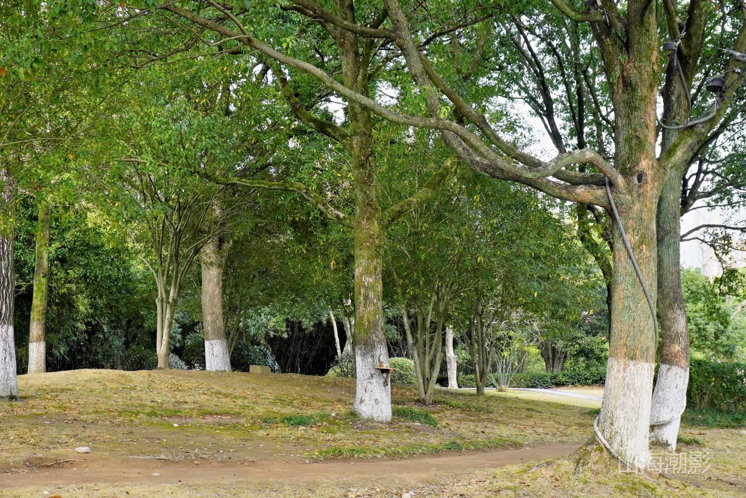 仙居永安公园 — 湖光山色与人文休闲融合的影视拍摄胜地 治愈景区(图15)