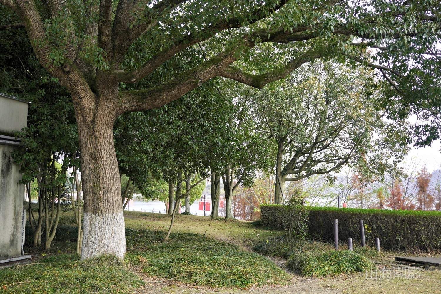 仙居永安公园 — 湖光山色与人文休闲融合的影视拍摄胜地 治愈景区(图24)