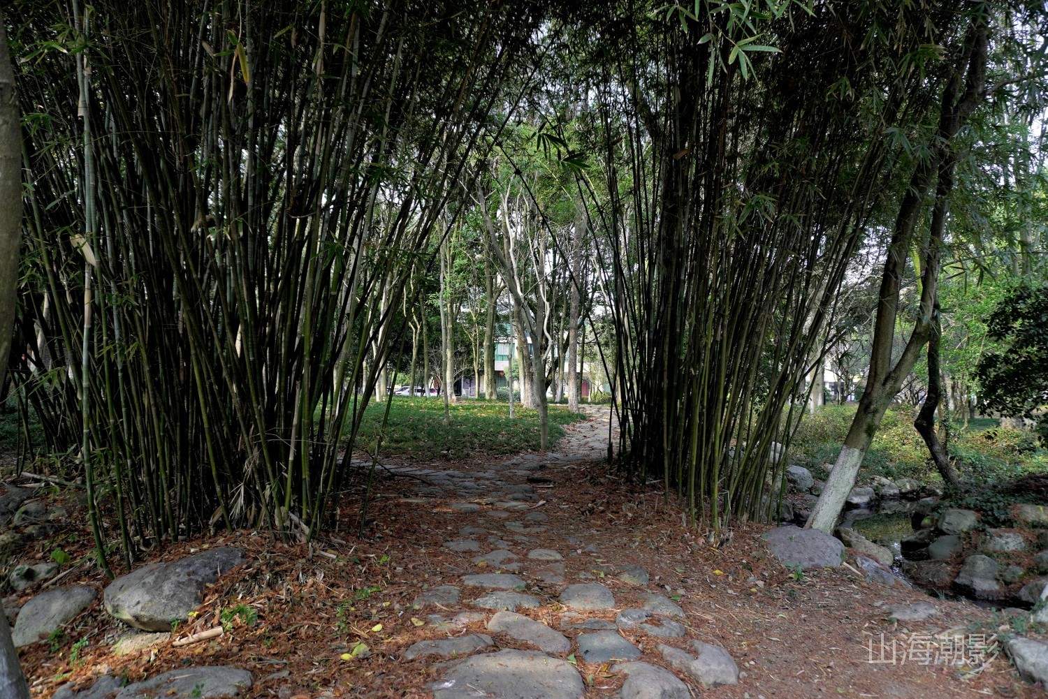 仙居永安公园 — 湖光山色与人文休闲融合的影视拍摄胜地 治愈景区(图29)